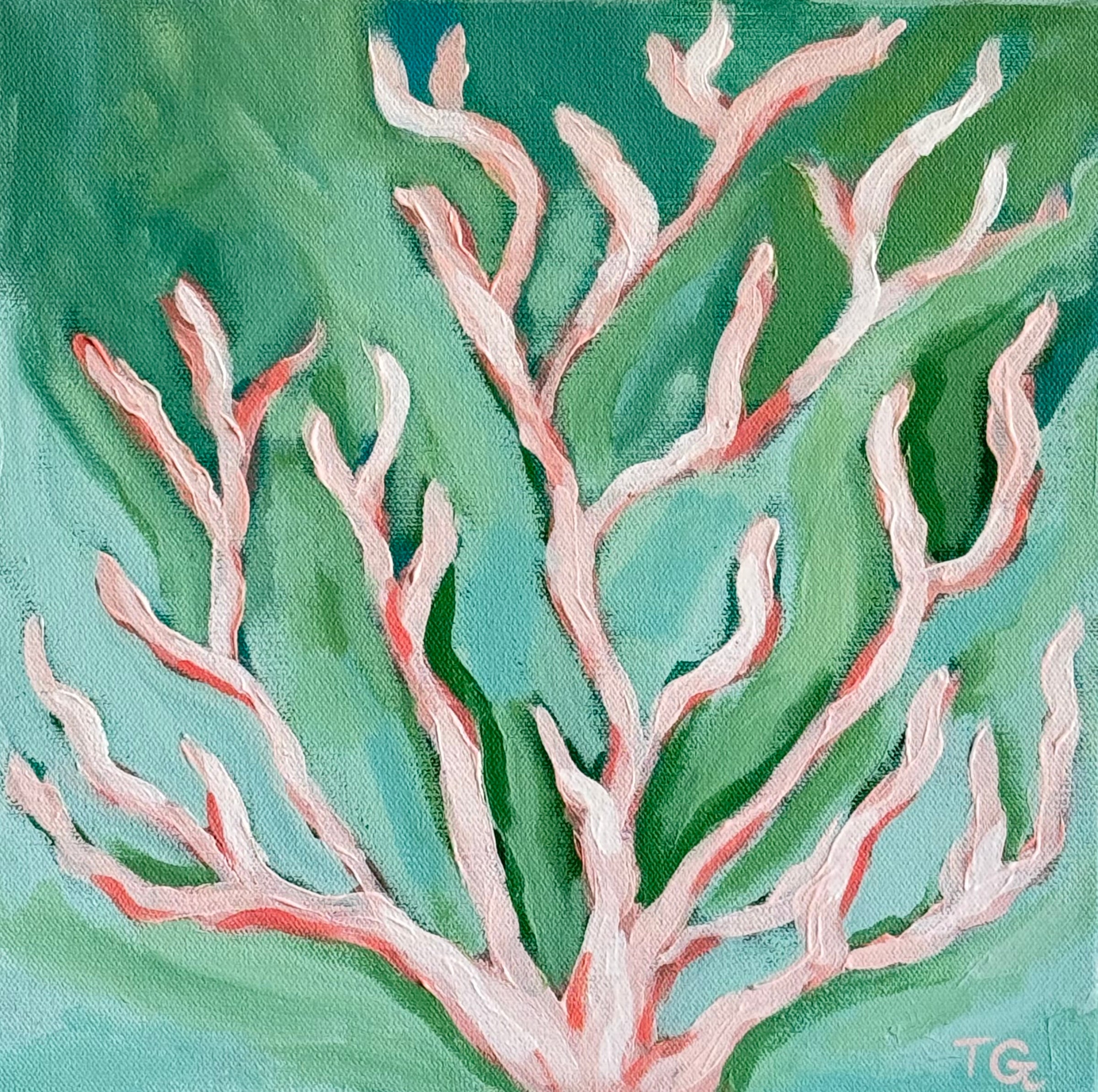 BLUSH REEF - 12 X 12