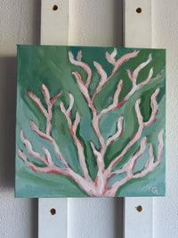 BLUSH REEF - 12 X 12