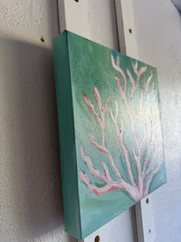 BLUSH REEF - 12 X 12