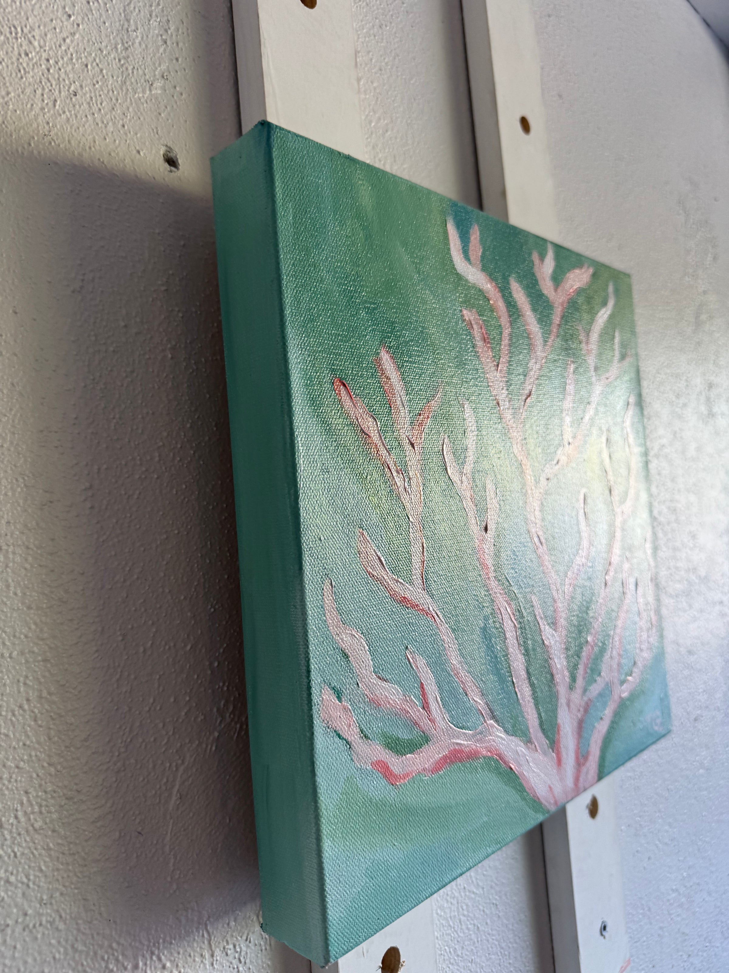BLUSH REEF - 12 X 12